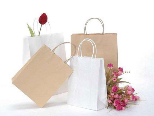 Paper bag as a shopping bag