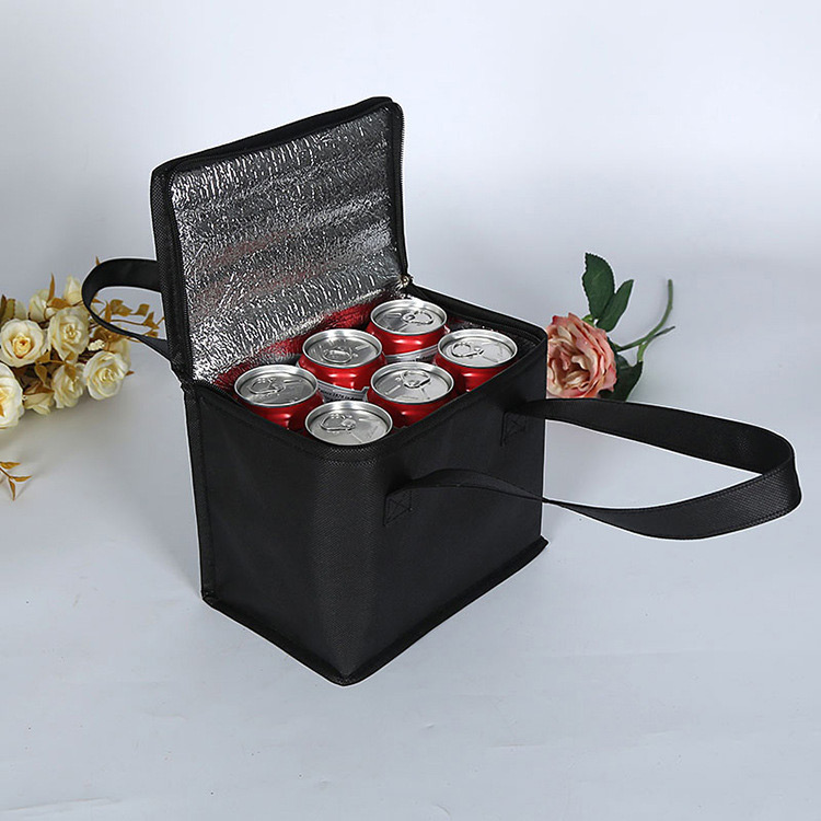 Direct sales large capacity insulation package non-woven ice bag picnic bag
